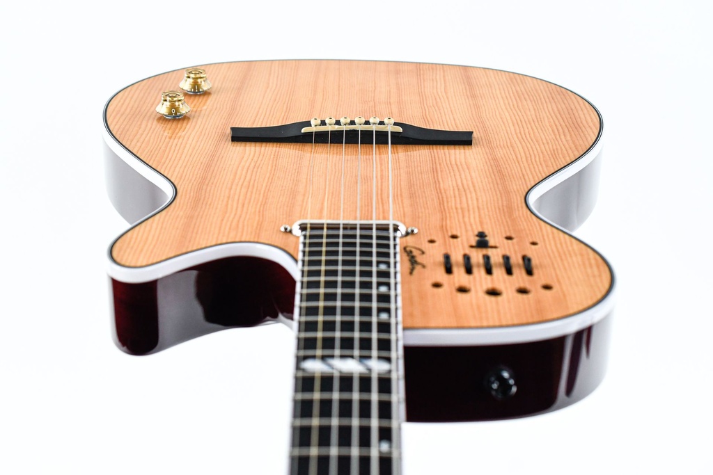 Godin Multiac Steel Natural HG 2019